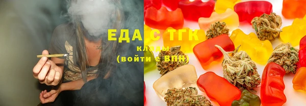 дмт Тайга
