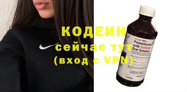 гидра Верхний Тагил