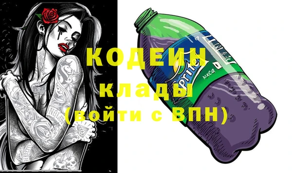 гидра Верхний Тагил