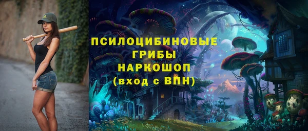 гидра Верхний Тагил