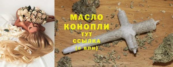 гидра Верхний Тагил